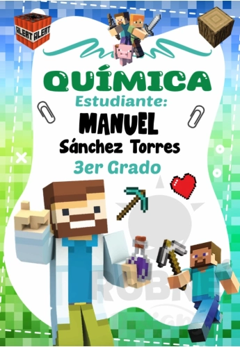 Minecraft Caratula 08
